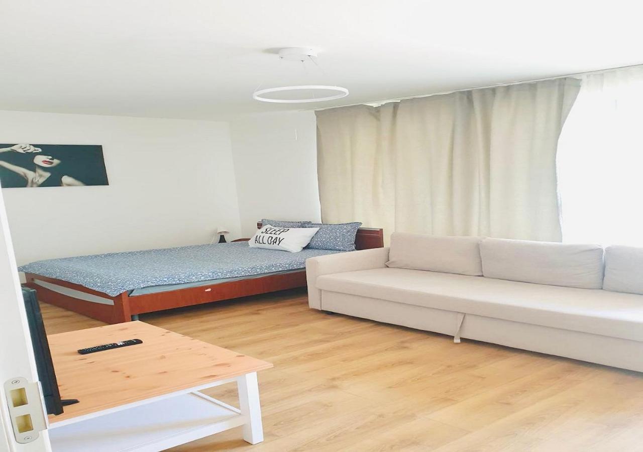 ブラショフSegovia Apartament 2アパートメント エクステリア 写真